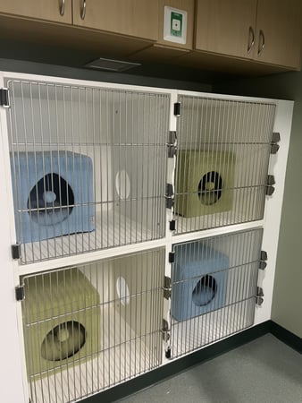 Images VCA Sanibel Animal Hospital