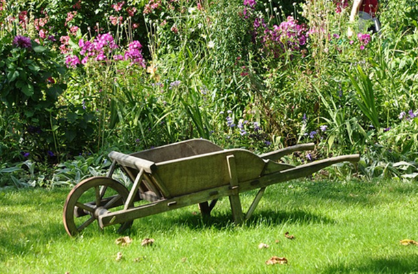 Images Gentilverde