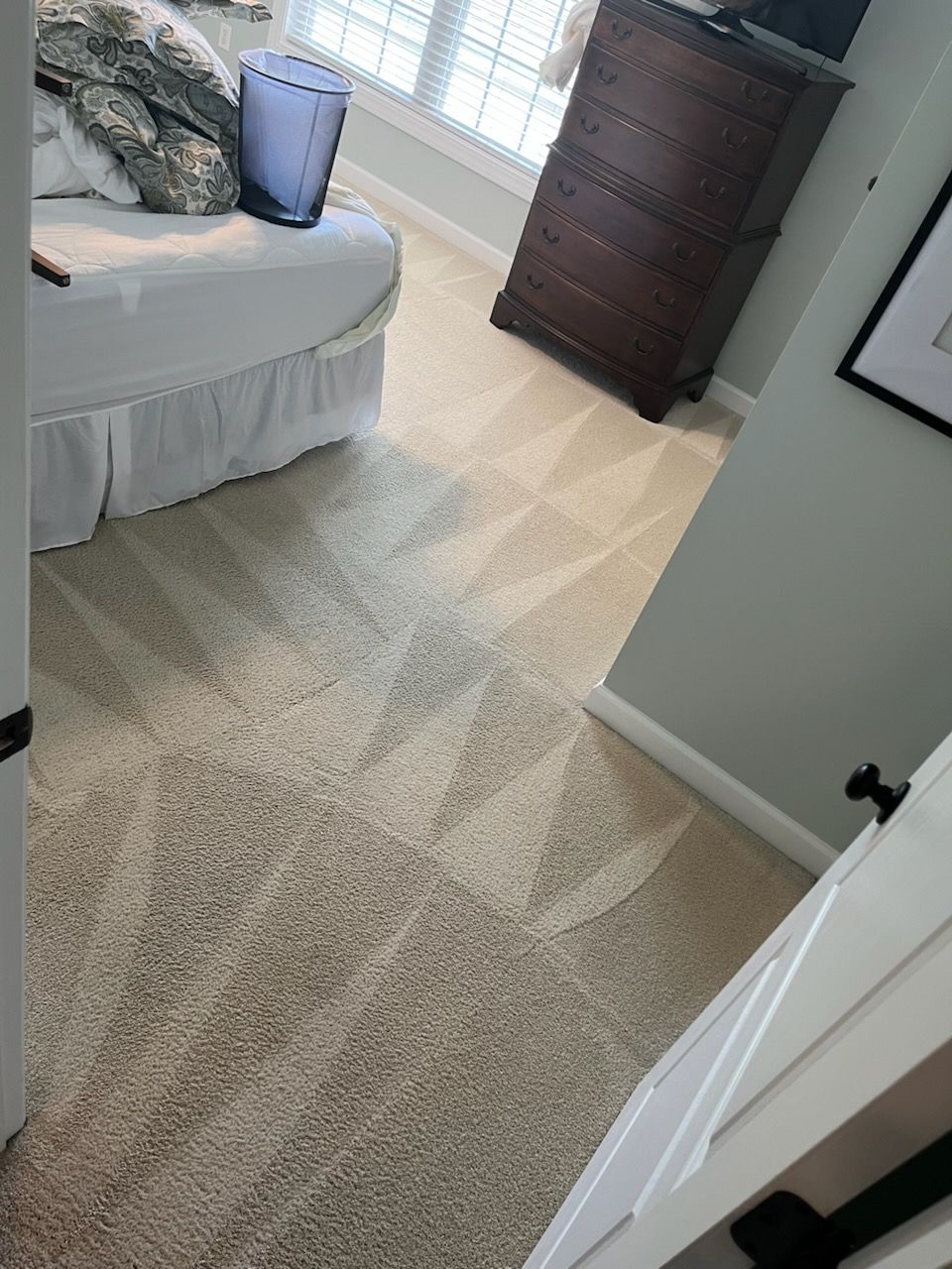 Stellars Choice Image