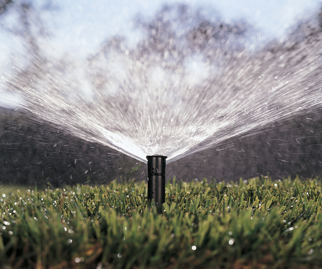 An active lawn sprinkler head delivering a fine mist spray to water healthy green grass turf.