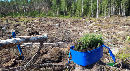 Images MoniMetsä Marttinen Oy
