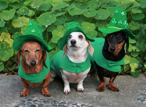 Images Craig Martin - State Farm Insurance Agent