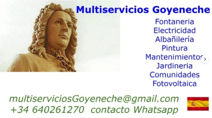Images Multiservicios Goyeneche