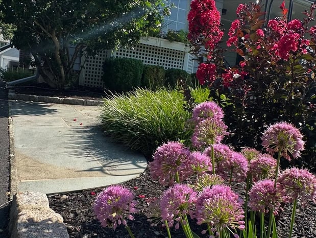 Images BT Property Services LLC