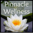 Pinnacle Wellness Spa Logo