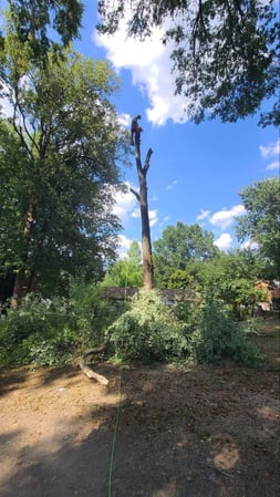 Images Bowie's Outdoor Services, LLC.