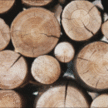 Beko's Trees Llc & Wood Carving Logo
