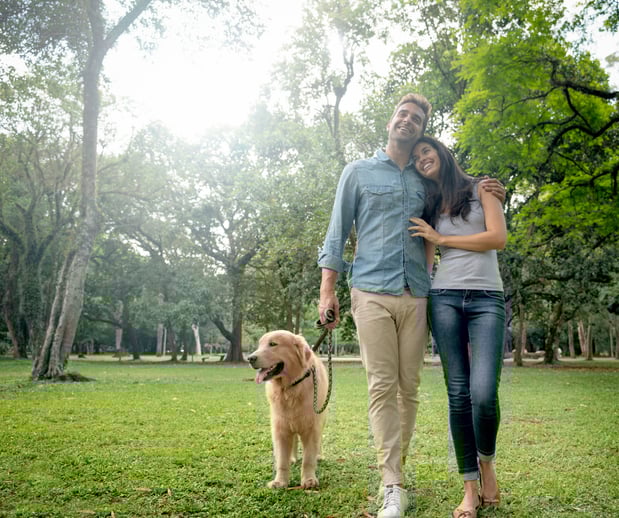 Images Great Outdogs