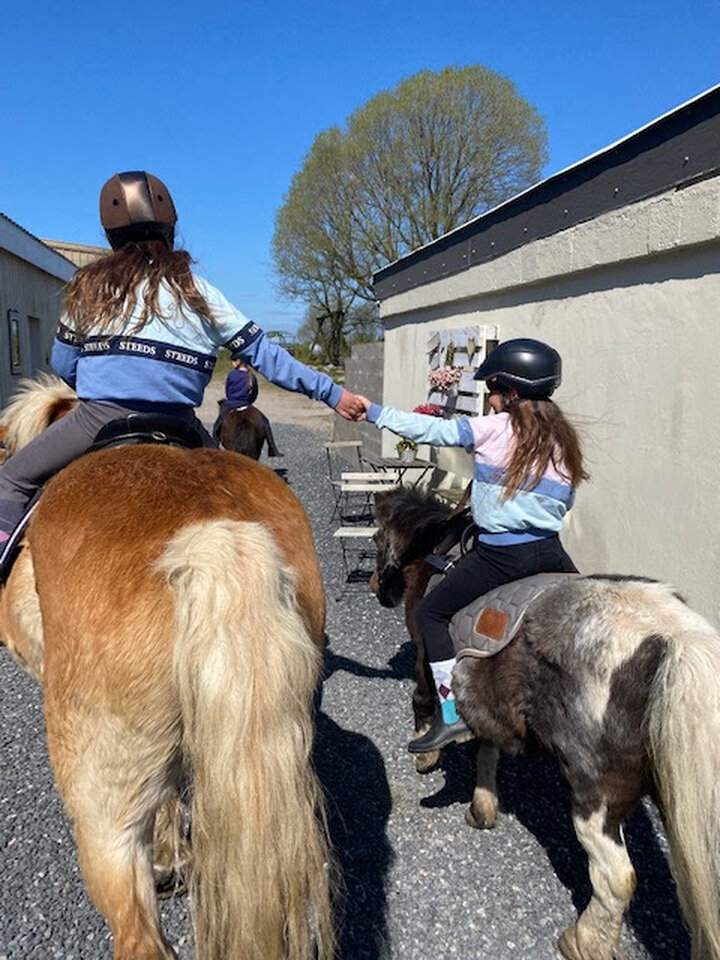 Strandhof Holnis, Holnisser Noorstraße 2 in Glücksburg (Ostsee)