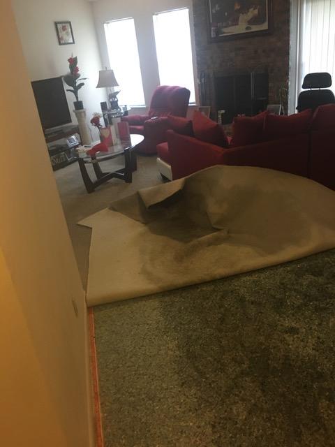 Carpet removal after a water loss. #SERVPRO