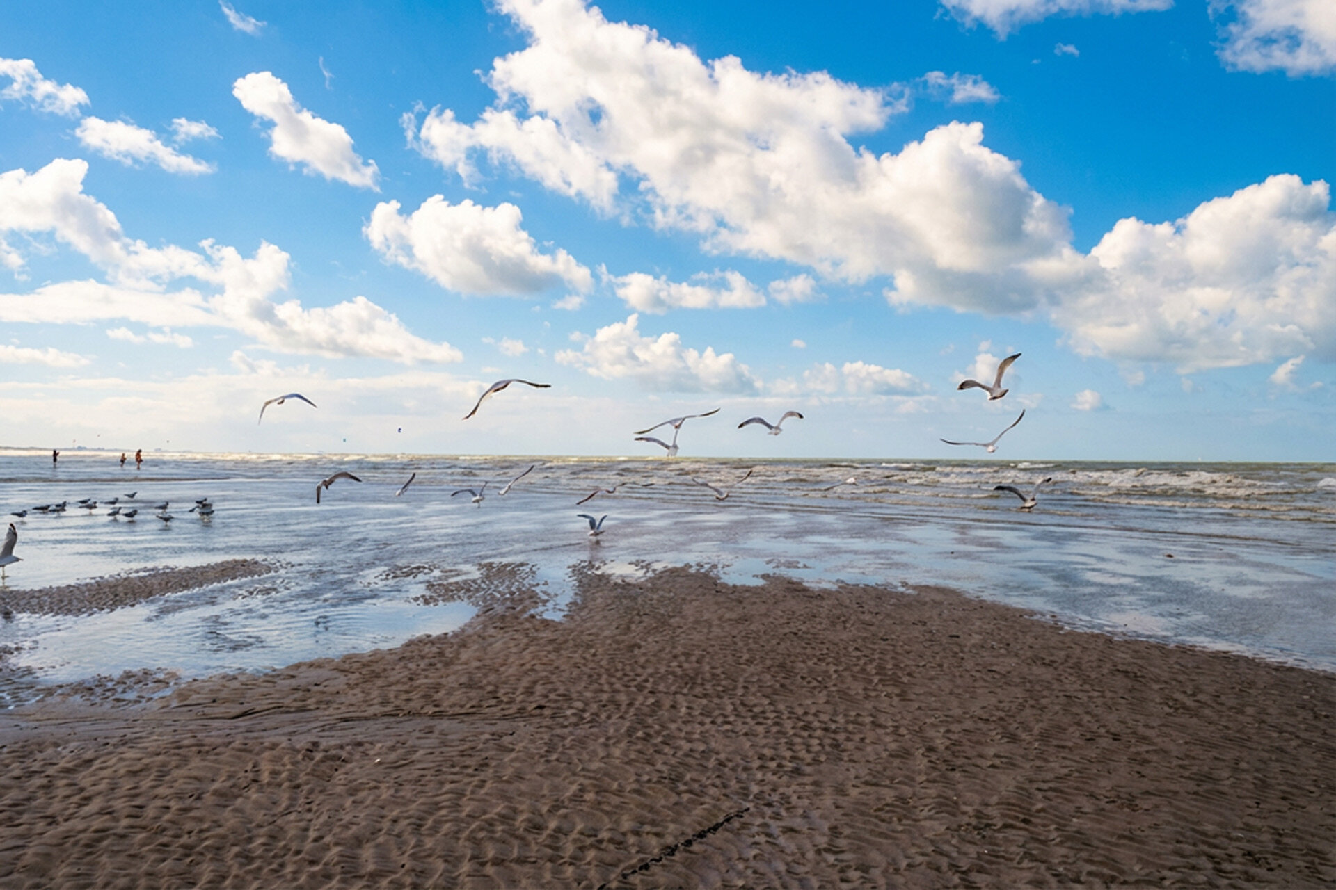 Das Wangerland in Wangerland