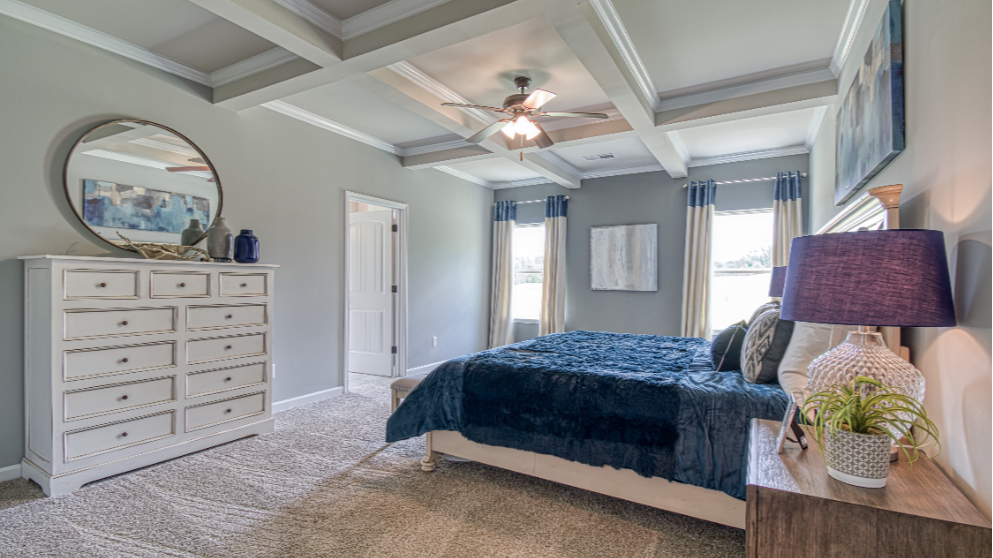 Owners' suite with tray ceiling at DRB Homes Luella Grove Community