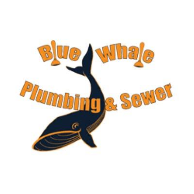 Blue Whale Backflow, Plumbing, & Excavating - Batavia, IL 60510 - (630)737-1250 | ShowMeLocal.com