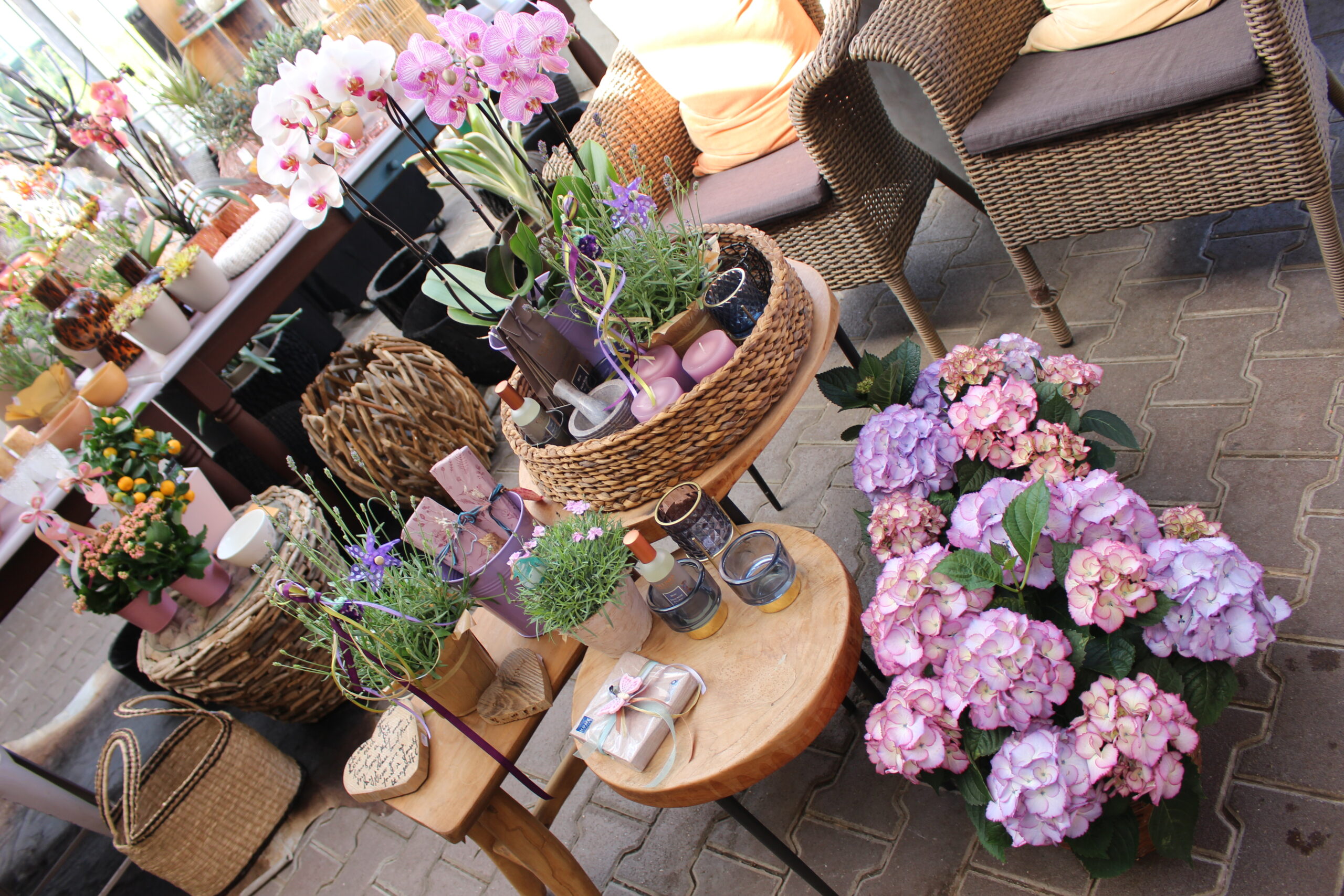 Bild 2 von Blumen Bäume Garten Mölzer