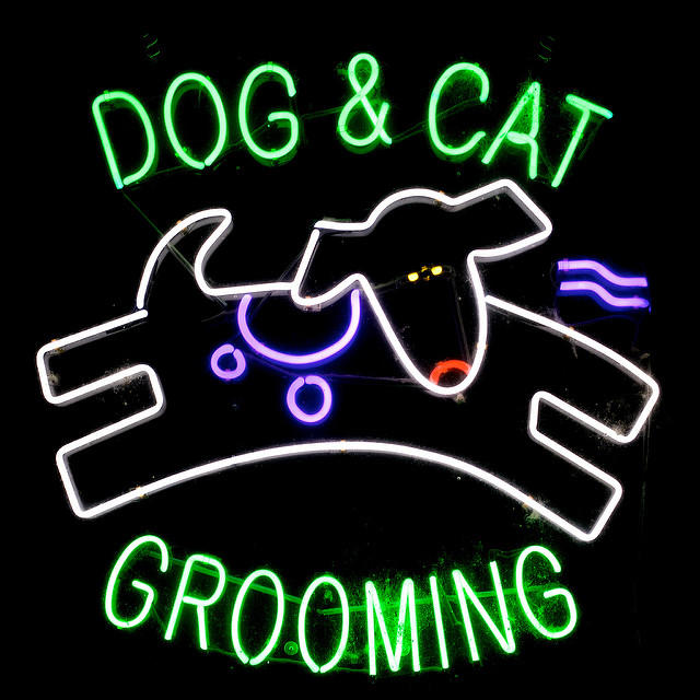 Blue Ribbon Dog & Cat Grooming Logo