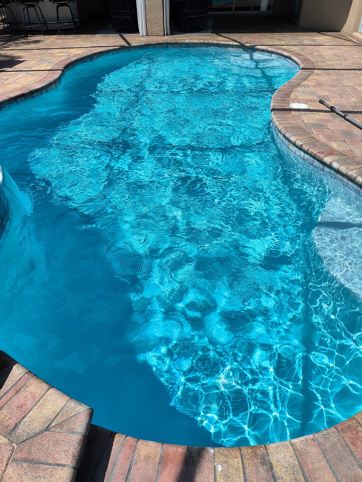 Freeform backyard swimming pool with sparkling blue water, curved edges, and brick paver decking.