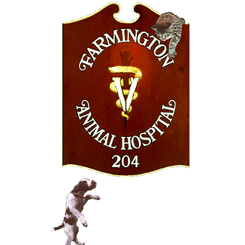 Farmington Animal Hospital, Llc