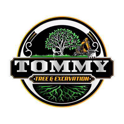 Tommy Tree & Excavation