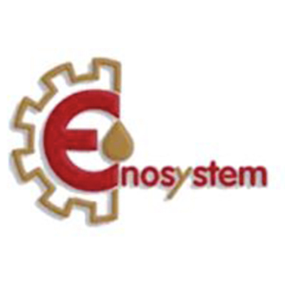 Enosystem Logo