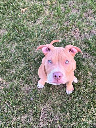 Images Debbie Allen - State Farm Insurance Agent