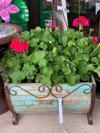 Images S & H Nursery