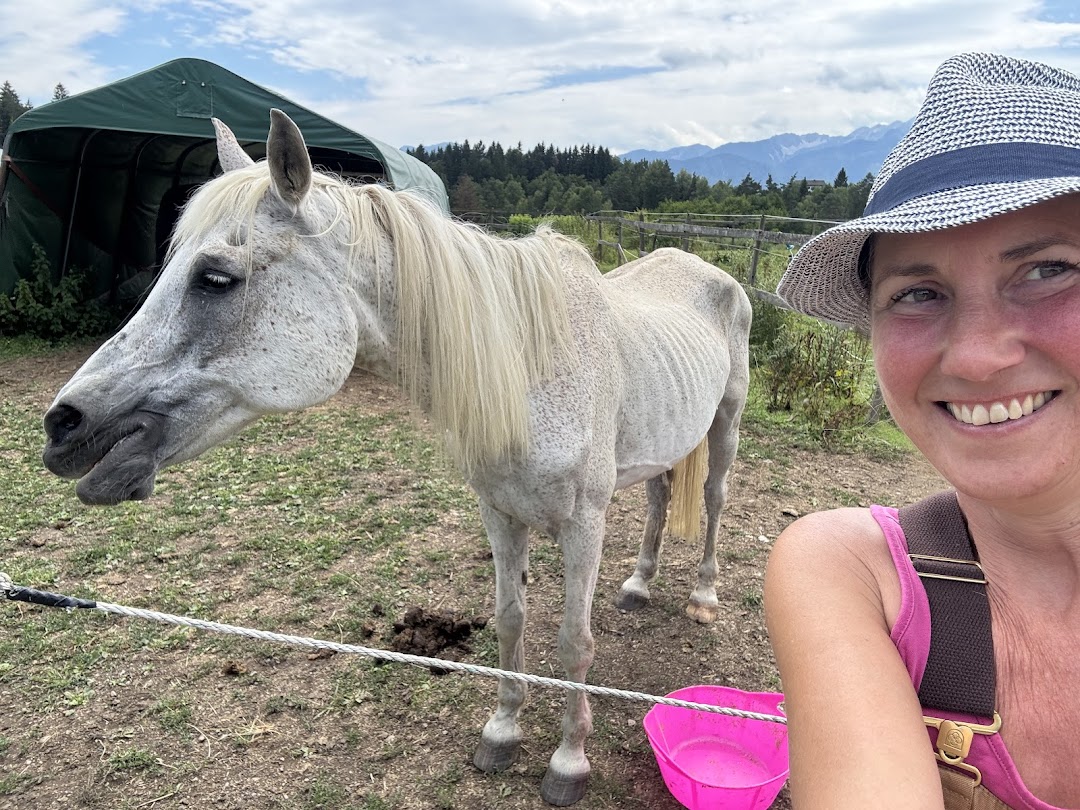 Bild 3 von mel4animal - Melanie Leikam