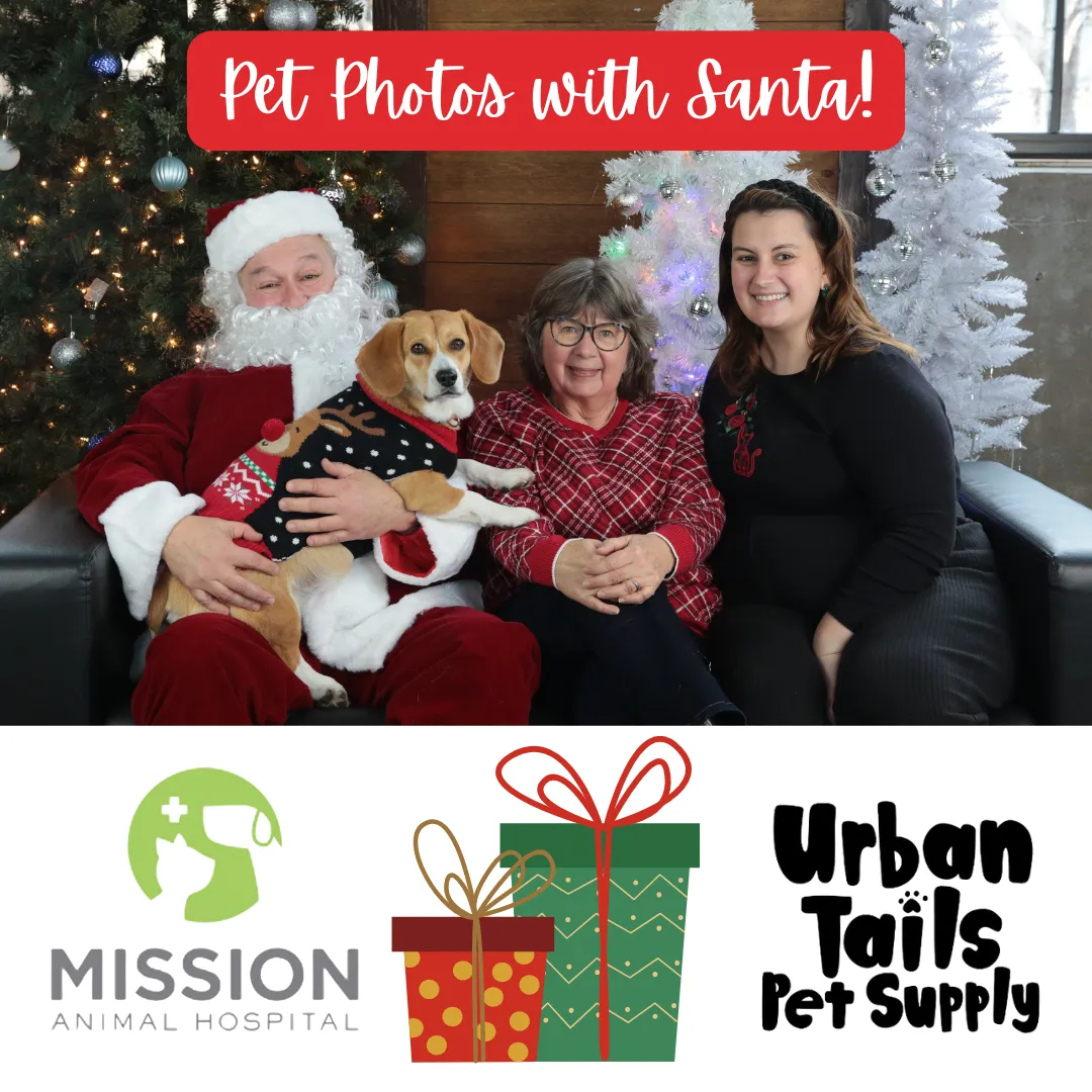 Image of Local Pet Event Pet Photos with Santa Nearby
