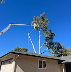 Alliance Tree Care Image