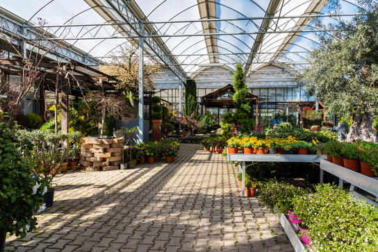 Images Azienda Agricola Florovivaista Toscogarden