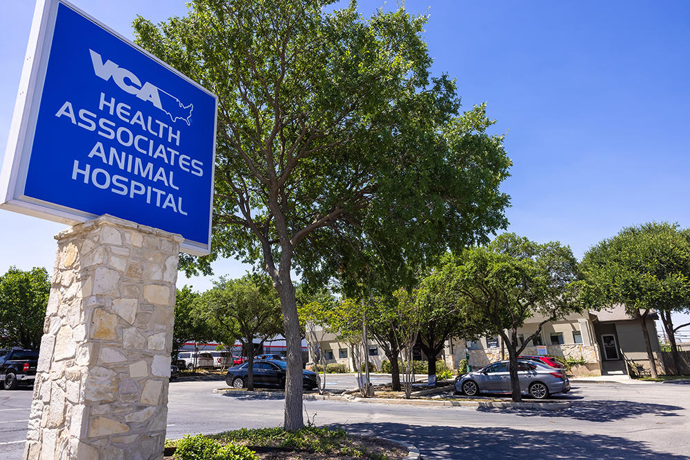 Image 2 | VCA Health Associates Animal Hospital