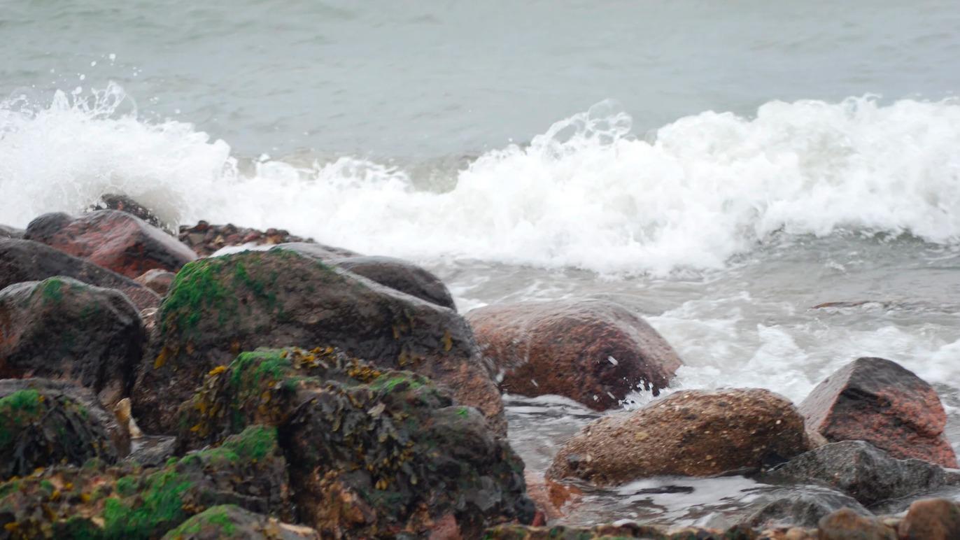 Images Kews Fotografering