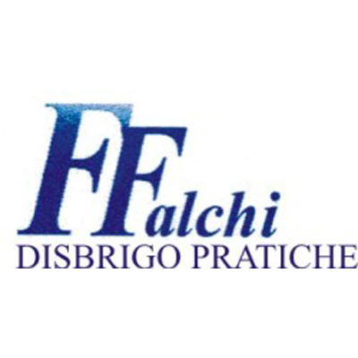 Disbrigo Pratiche Falchi Logo