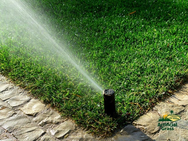 Images Las Vegas Artificial Grass