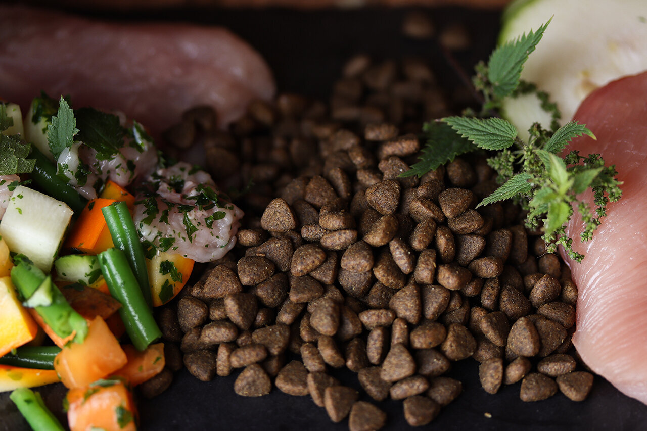 Bilder Green Pet Shop