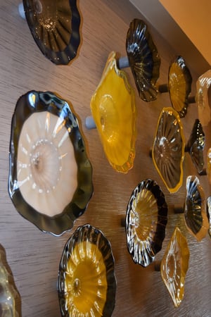 Images Holiday Inn & Suites East Peoria by IHG