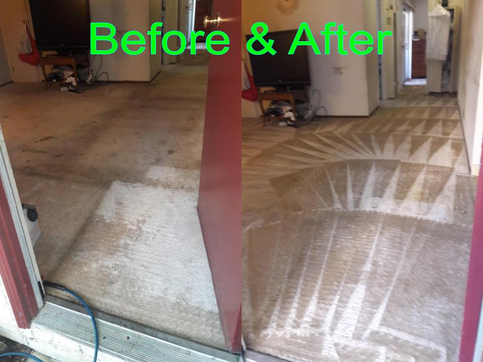 Able Body Carpet & Restoration Photo