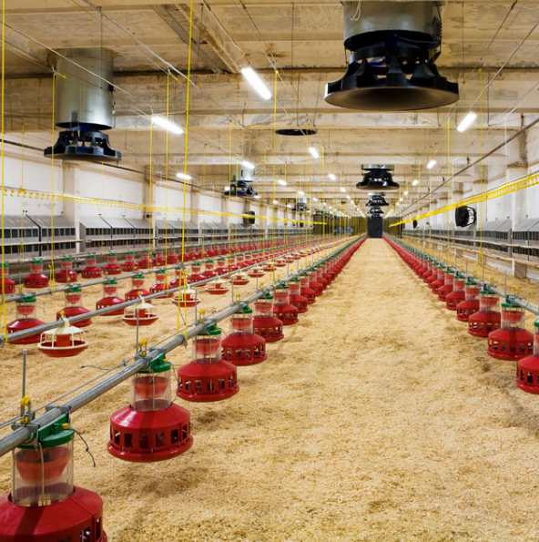 Engel Lighting GmbH & Co. KG, Ottostraße 2 in Wölfersheim