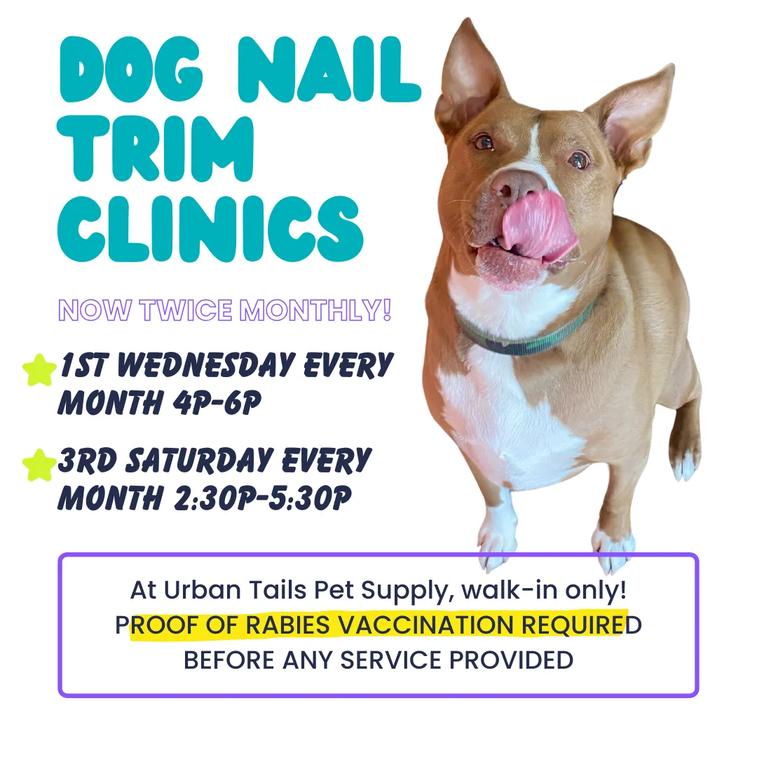 Image of Local Pet Event Dog Nail Trim Clinic - 3rd Saturday Nearby