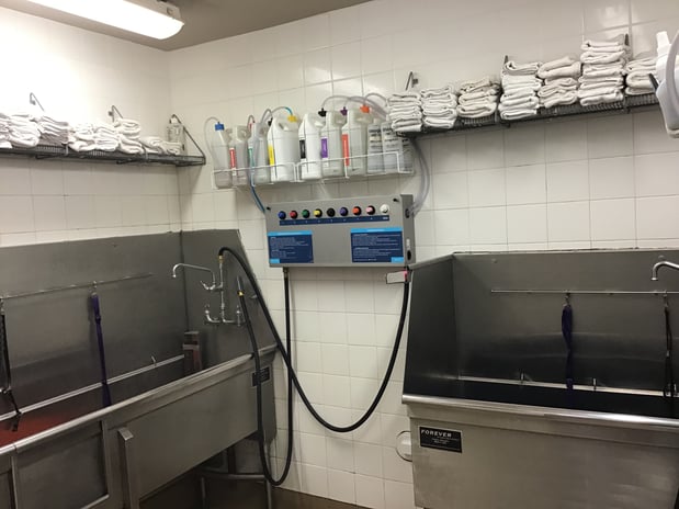 Images Petco Grooming