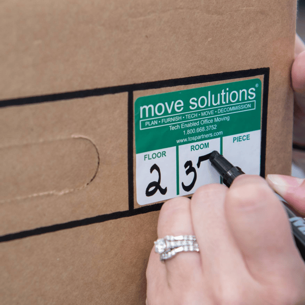 Images Move Solutions Ltd