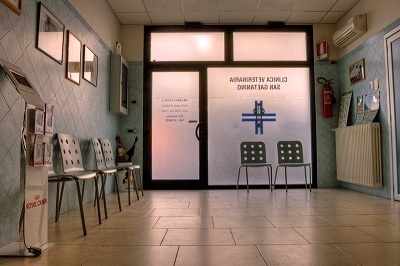 Images Clinica Veterinaria San Gaetanino
