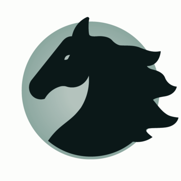 Shadowfax Funding Solutions Limited Logo