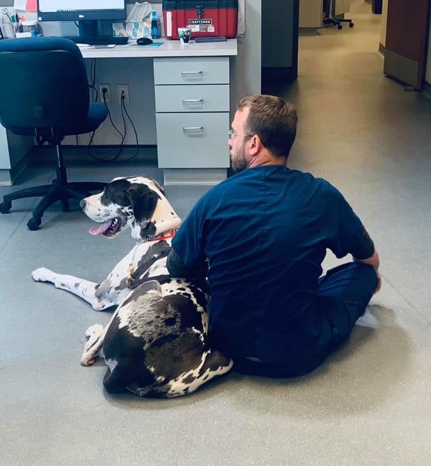 Images West Side Veterinary Hospital