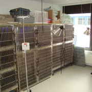 Bilder Kleintierpraxis Buchholz GmbH