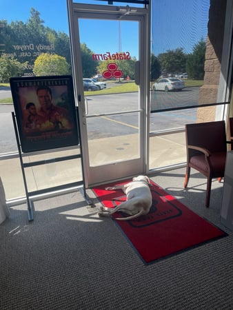 Images Randy W Dreyer - State Farm Insurance Agent