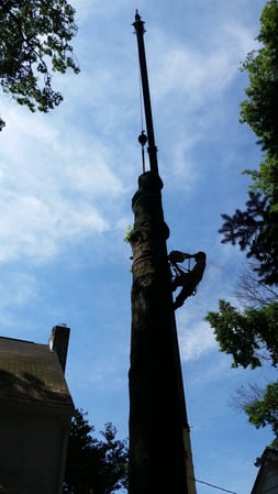 Images Keil Tree Experts Inc