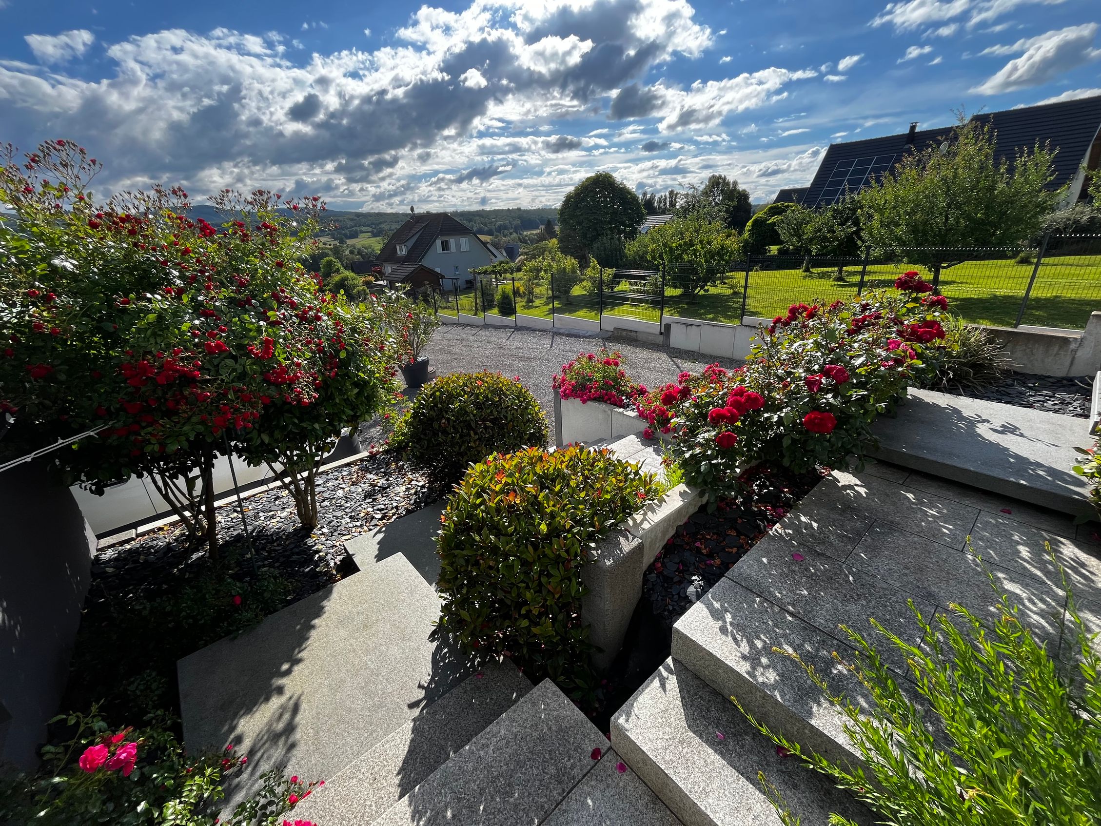 Bilder Schneider Gartengestaltung AG