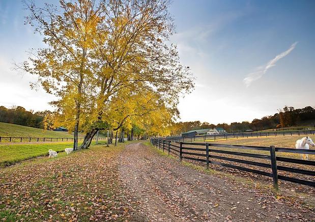 Images Winding Creek Stable