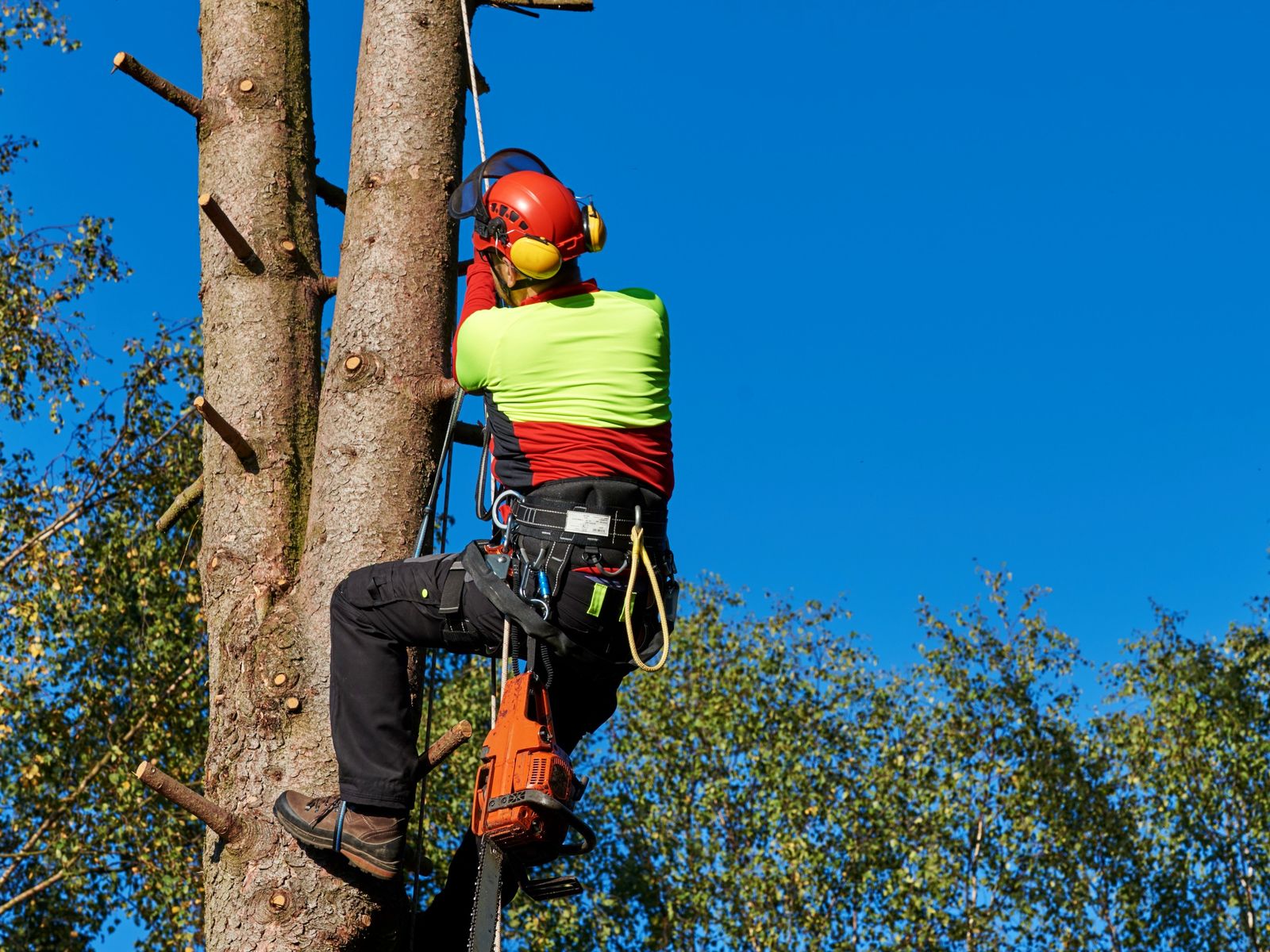Affordable Tree Service Inc