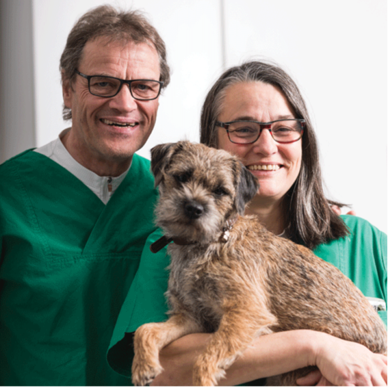 Tierarzt Reinartz Jülich, Tierärztliche Praxis für Kleintiere am Brückenkopfpark Logo